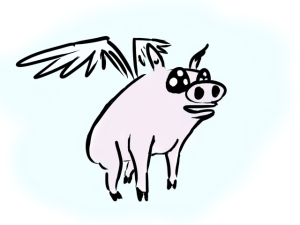 Kawsay Met Imposssible Once