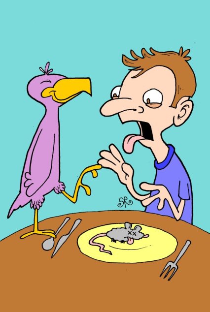 Birds of the Cashew Coast 3