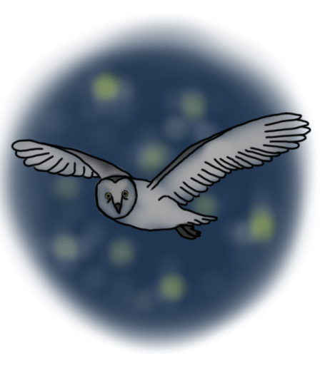 owls-of-haunted-holler-nebula-owl